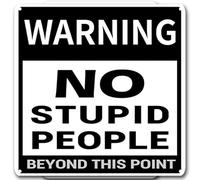 Cartello decorativo in metallo con scritta in lingua inglese "Warning No Stupid People Beyond this point", decorazione da parete per casa e bar