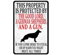 Cartello di avvertimento in latta con scritta in lingua inglese "This Property Is Protected By The Good Lord A German Shepherd And A Gun" per giardinaggio, cortile, patio, decorazione da parete per