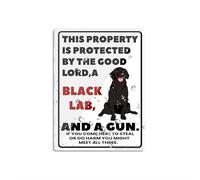 Cartello in acrilico con scritta in inglese "This Property Is Protected By The Good Lord A Black Lab Dog" (lingua italiana non garantita), 15,2 x 20,3 cm, autoadesivo, in acrilico, per porta o parete