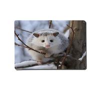 Cartello in alluminio, Opossum In Snow Print Metal Sign Riflettente Cartello Bar Cartello Negozio Cartello Bar Decor
