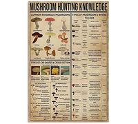 Cartello in latta 2 "Sirene Knowledge", cartello in latta in metallo, 11 fatti sorprendenti sulle sirene, poster retrò, stampa scuola, bar, camera da letto, bagno, cucina, casa, arte, decorazione mura