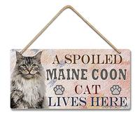 Cartello in legno con scritta "A Spoiled Maine Coon Cat Lives Here" in stile vintage, 12.5 x 25 cm, decorazione da parete per casa, cucina, bagno, fattoria, giardino, garage, citazioni ispiratrici