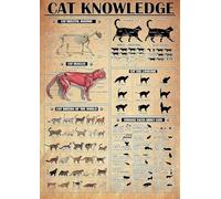 Cartello in metallo con grafico anatomico della conoscenza del gatto, poster vintage per la decorazione da parete della cucina della sala giochi della famiglia, 8x12 pollici