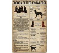 Cartello in metallo con latta - Gordon Setter, cartello in metallo con la conoscenza di Gordon Setter, poster in latta con infografica, enciclopedia sui cani, targhe, decorazione da parete per la cas