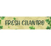 Cartello in metallo con scritta "Coriandolo fresco", stile vintage, stile fattoria, per bar, bagno, taverna - Accessori divertenti per decorazioni murali per la casa, stanza fresca, garage su strada