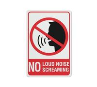 Cartello in metallo con scritta "No Loud Noise No Screaming", 30,5 x 20,3 cm, in alluminio antiruggine, multicolore