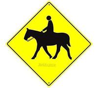 Cartello in metallo di stagno con grande strada equitazione attività equestre con grafica allevamento animale Xing croce cartello per casa, ufficio, bar, interni ed esterni, decorazione da parete, 12