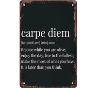 Cartello in metallo retrò con stampa Carpe Diem, definizione Carpe Diem, cartello in latta vintage, decorazioni divertenti per bar, pub, caffetteria, fattoria, ufficio, decorazione da parete, regalo p