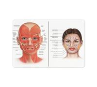 Cartello in metallo retrò, poster di anatomia del viso, muscoli e vene facciali, arte dell'estetista, arte del chirurgo plastico, poster di massaggi, iniettore cosmetico, arredamento rustico per la ca