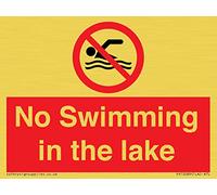 Cartello No Swimming in the Lake - 100 x 75 mm - A7L