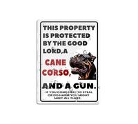 Cartello per porta, in plastica acrilica, con scritta in inglese "This Property Is Protected By The Good Lord A Cane Corso Dog", novità unica, avvertimento per esterni, 20,3 x 15,2 cm, resistenza allo