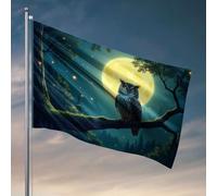 Cartello per stanza universitaria con gufo appollaiato su un ramo sotto una luna piena. Bandiera decorazioni per la cucina roba fresca per ragazzi (30 x 45 cm)
