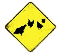 Cartello rustico Slow Chicken At Play Chicken Xing Crossing Sign Slow Down Sign per cortile giardino fattoria traffico stradale divertente targa in metallo alluminio testo nero con sfondo giallo 30 x
