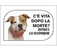 CARTELLO SEGNALETICO - American Staffordshire Terrier C'È VITA DOPO LA MORTE