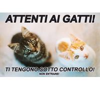 CARTELLO SEGNALETICO - ATTENTI AI GATTI TI TENGONO SOTTO CONTROLLO- segnale