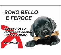 CARTELLO SEGNALETICO - ATTENTI AL CANE LABRADOR NERO, SONO BELLO E FERO- segnale