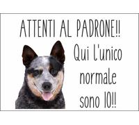 CARTELLO SEGNALETICO - AUSTRALIAN CATTLE DOG ATTENTI AL PADRONE - segnale