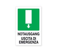 Cartello segnaletico bilingue uscita di emergenza