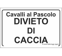 CARTELLO SEGNALETICO - CAVALLI AL PASCOLO DIVIETO DI CACCIA - segnale