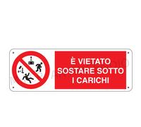 Cartello Segnaletico E' vietato sostare sotto i carichi