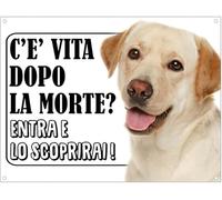 CARTELLO SEGNALETICO - LABRADOR MIELE c'è vita dopo la morte, entra e lo scoprirai - Adesivo Extra Resistente, Pannello in Forex, Pannello In Alluminio (Alluminio, 20x31 cm)
