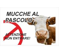 CARTELLO SEGNALETICO - MUCCHE AL PASCOLO - segnale