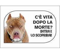 CARTELLO SEGNALETICO - PITBULL C'È VITA DOPO LA MORTE - segnale