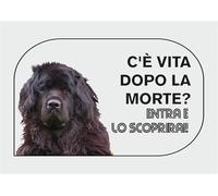 CARTELLO SEGNALETICO - TERRANOVA c'è vita dopo la morte, entra e lo scoprirai - Adesivo Extra Resistente, Pannello in Forex, Pannello In Alluminio (Alluminio, 20x31 cm)