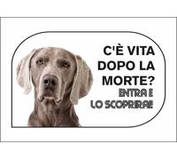 CARTELLO SEGNALETICO - WEIMARANER C'È VITA DOPO LA MORTE - segnale