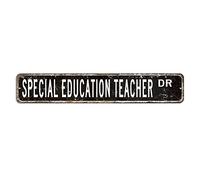 Cartello stradale per insegnante di educazione speciale insegnante regalo professione cartello in alluminio personalizzato 7,6 x 45,7 cm cartello metallico in alluminio antiruggine elegante placca