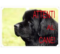 Cartello Targa "ATTENTI AL CANE TERRANOVA da cm 30 x 21,5