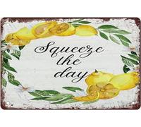 Cartello vintage in metallo e alluminio "Squeeze The Day" da 12x16 pollici
