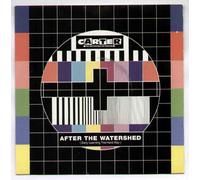 CARTER - CARTER - AFTER THE WATERSHED - 7" VINYL