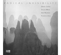 Carter Daniel, Stelios Mihas, Irma Nejandcarter Daniel, Stelios Mihas, Irma Nejand - Radical Invisibility