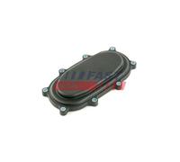 Carter Distribuzione Fast FT45315 per Fiat Iveco