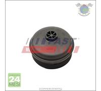 Carter filtro olio Fast per RENAULT TALISMAN TWINGO SCENIC MEGANE KANGOO KADJAR