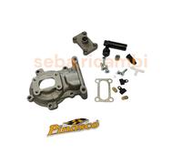 CARTER LAMELLARE PINASCO DOPPIO CARBURATORE D. 46 MM PIAGGIO CIAO SI BRAVO ECC