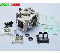 CARTER MOTORE MOTOBECANE 51 COLLETTORE - PACCO LAMELLARE POLINI 170.0110