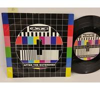 CARTER THE UNSTOPPABLE SEX MACHINE - CARTER THE UNSTOPPABLE SEX MACHINE after the watershed, PICTURE SLEEVE, 7 inch single, USM2