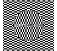 Carter Tutti Void Transverse (CD)