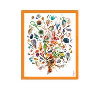 Carthusia A'mmare Pareo Cotone Bianco Bordo Arancio - Pareo