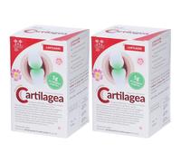 Cartilagea 2x18x12 ml Soluzione orale