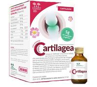 Cartilagea salugea 18 flaconcini da 12 ml