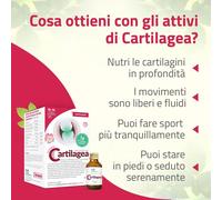 CARTILAGEA SALUGEA 18FL