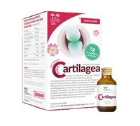 CARTILAGEA SALUGEA 18FL