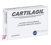 CARTILAGIL 20 COMPRESSE