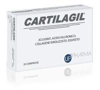 CARTILAGIL 20CPR