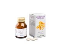 CARTILAGINE SQUALO 50CPS
