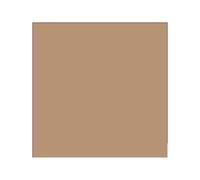 Leone - H6133 - Cartine antigrasso per alimenti - 33 x 32,5 cm - avana - Leone - conf. 500 pezzi - 96601 - Conf. da 1 Pz. - H6133