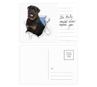 Cartolina di carta con animali che rompono gli shock con cani cattivi